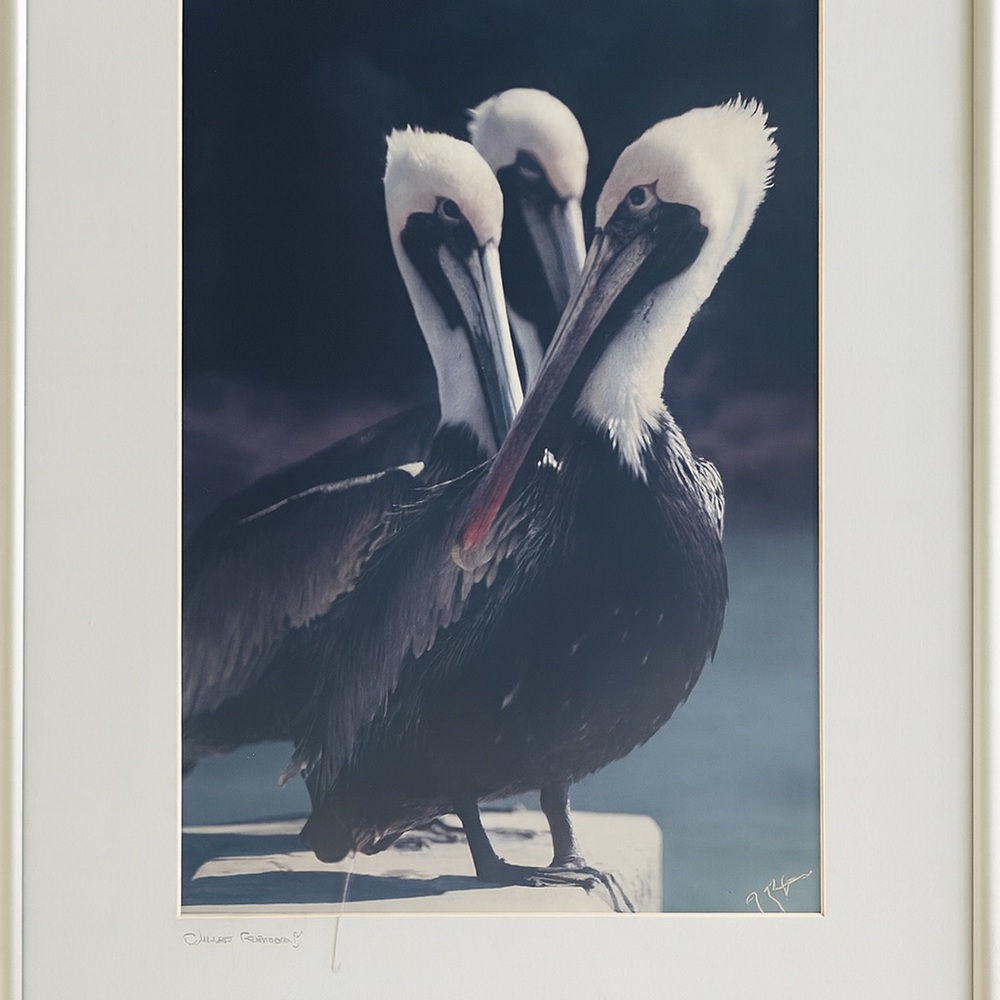 Jack Megela “Just Friends” – Signed & Framed Photography (12x16)